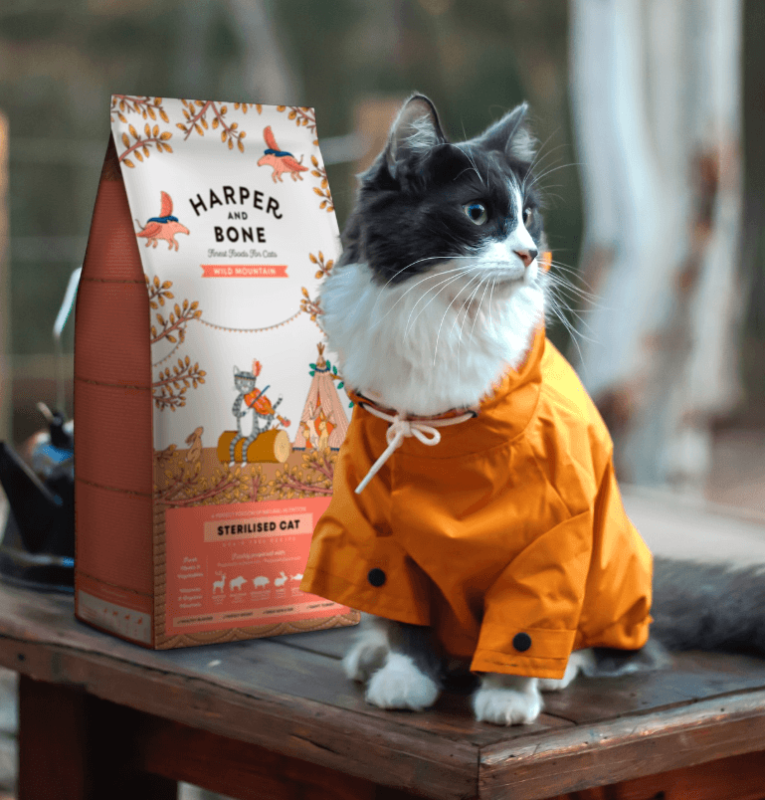 Harper_and_bone_wild_mountain_esterilizado_3