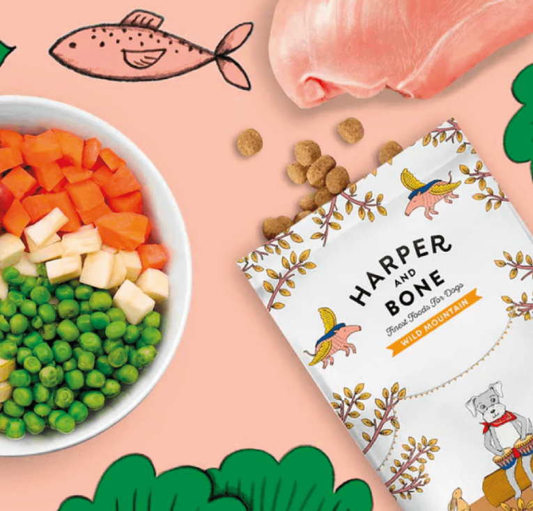 Harper_and_bone_wild_mountain_maxi_3