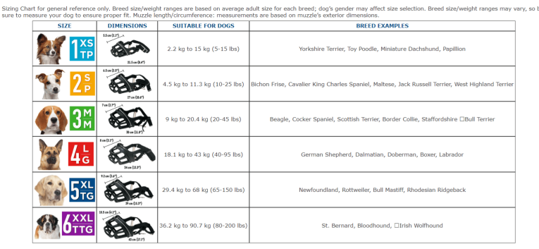 Infografía explicativa sobre cómo medir el hocico del perro para elegir la talla correcta del bozal Zeus Alpha.