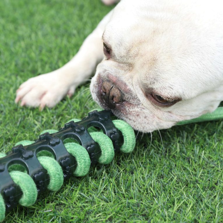 juguete-de-cuerda-trenzado-strong-xt-dog-46-cm