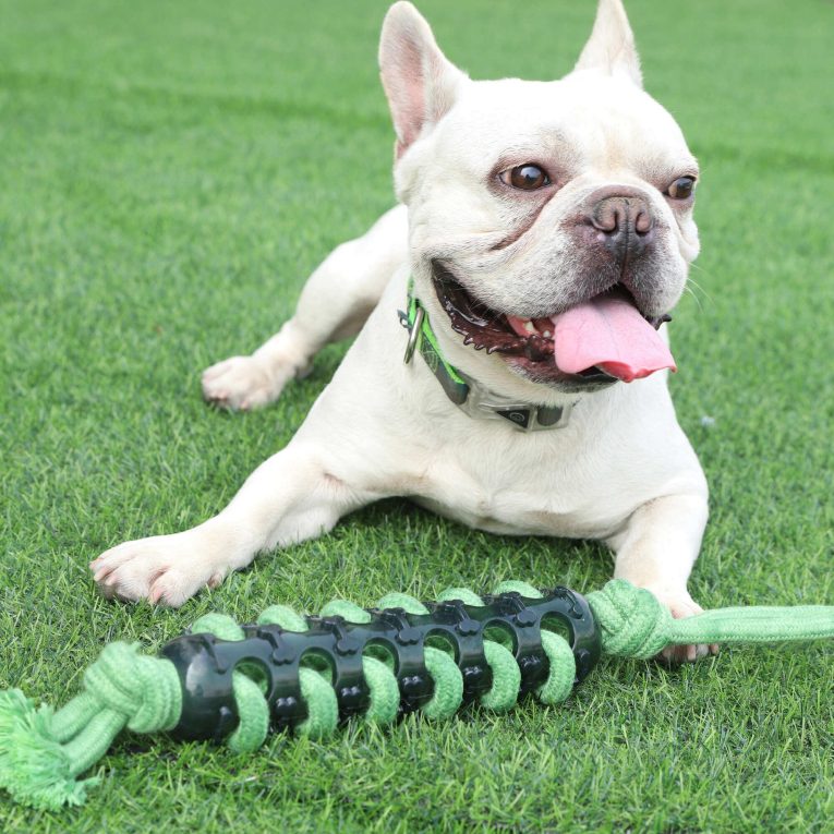 juguete-de-cuerda-trenzado-strong-xt-dog-46-cm_2