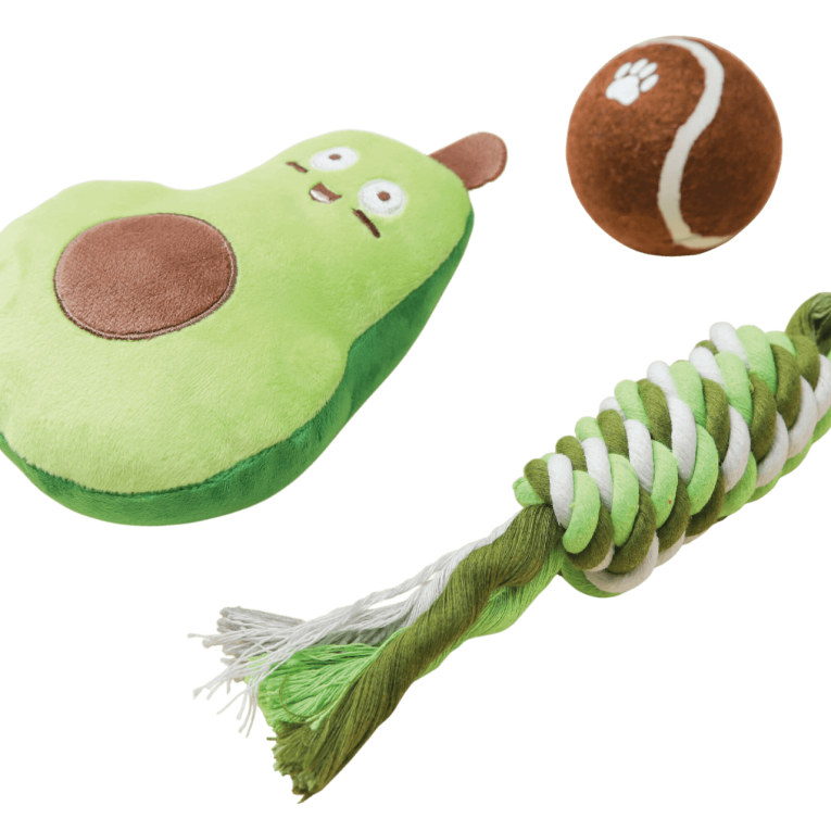Presentación del set de tres juguetes para mascotas Premier DOG diseño aguacate multicolor en Anlú.
