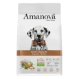 Saco de pienso Amanova Puppy Medium con pollo para cachorros de raza mediana, vista frontal