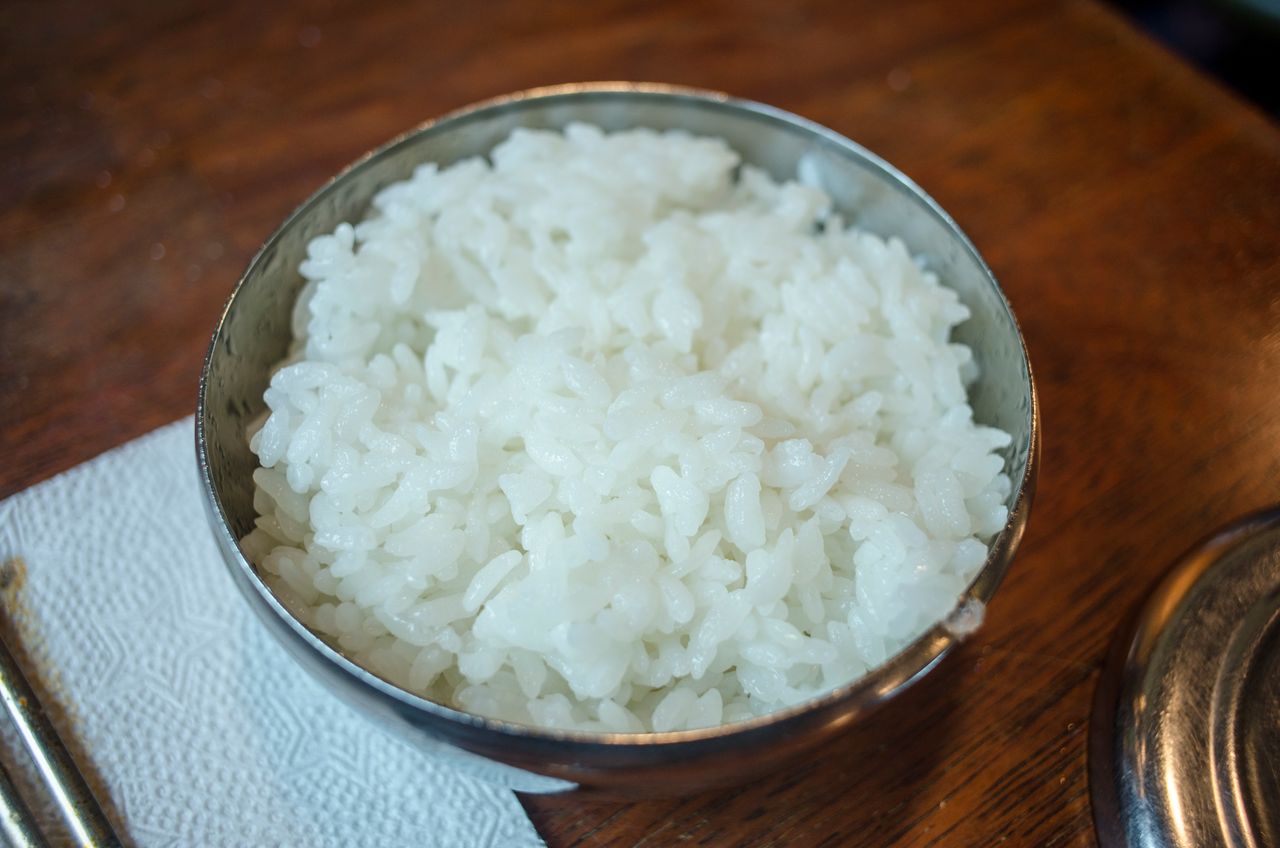 arroz blanco cocido para perros