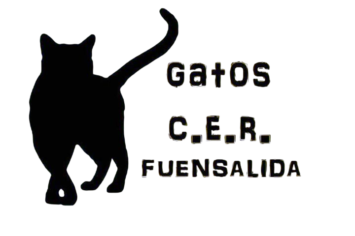 Proyecto CER Fuensalida