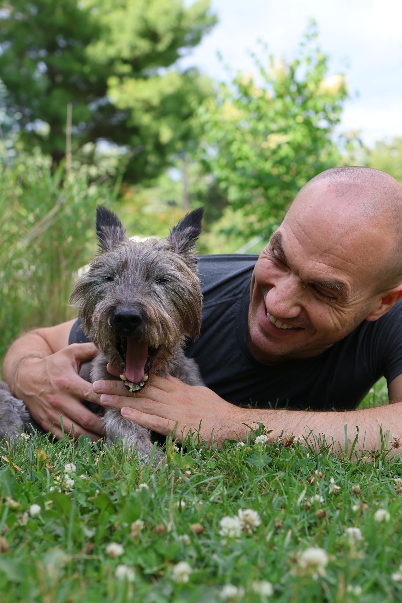 26 de agosto: Día Internacional del Perro, la fecha para celebrar a nuestro mejor amigo