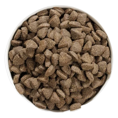 Bol con croquetas del pienso Ownat Grain Free Prime Adult Cordero para perros adultos