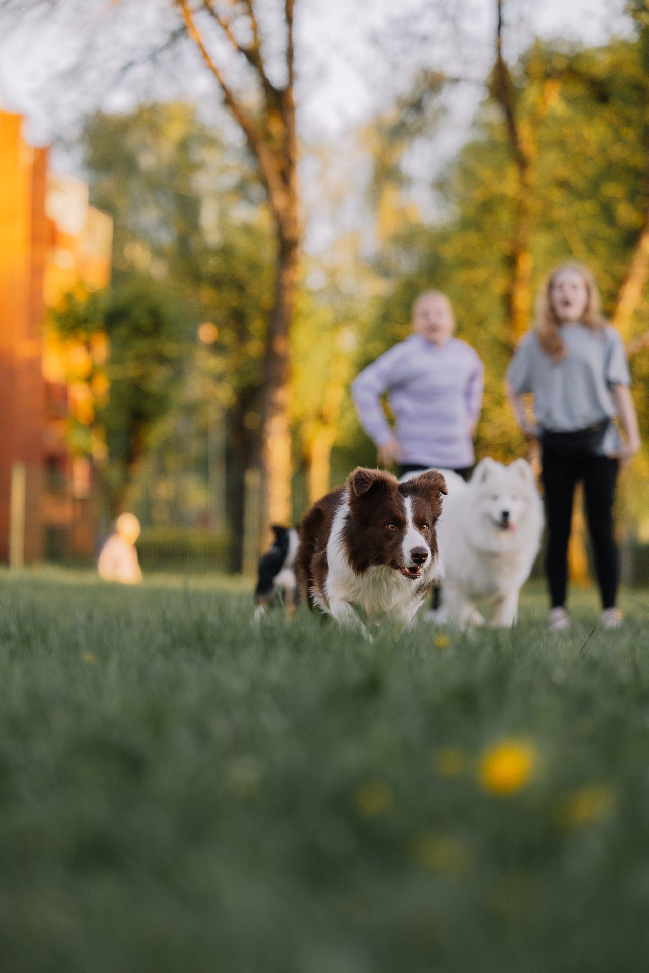 Educar en el respeto hacia los animales se enseña desde bien pequeños
