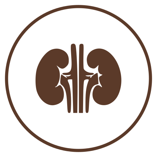 Renal