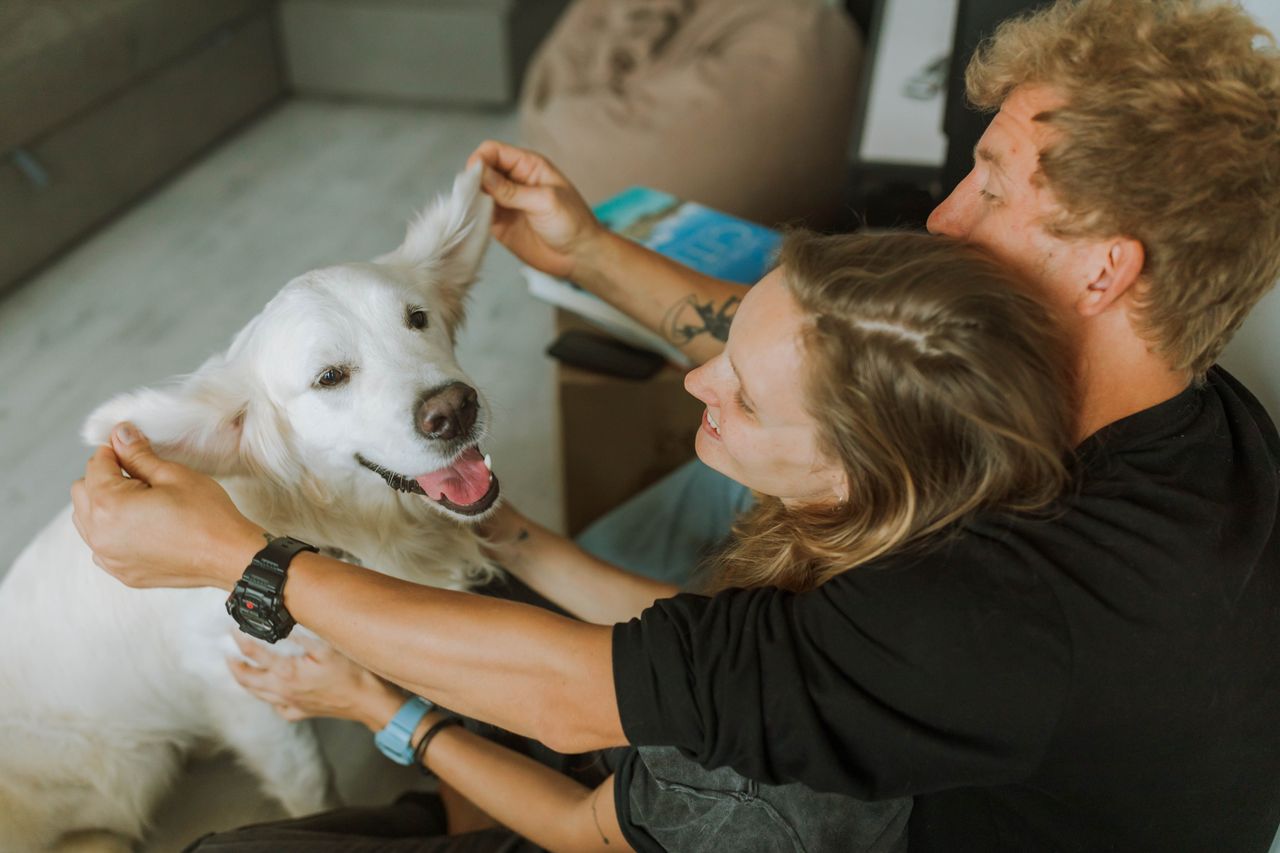 Tener un perro es un compromiso para toda su vida, no una decisión de un día