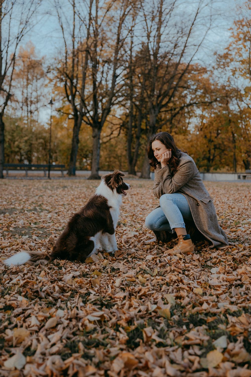 Persona paseando con su perro en un parque en otoño