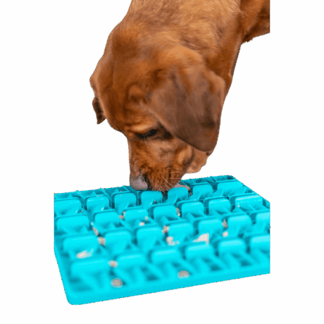 Primer plano de un perro marrón lamiendo el mantel Trixie Lick'n'Snack de color azul brillante con un diseño de rejilla. Se ven restos de comida húmeda/paté en los pequeños surcos.