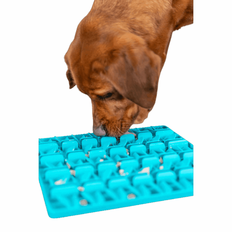 Primer plano de un perro marrón lamiendo el mantel Trixie Lick'n'Snack de color azul brillante con un diseño de rejilla. Se ven restos de comida húmeda/paté en los pequeños surcos.