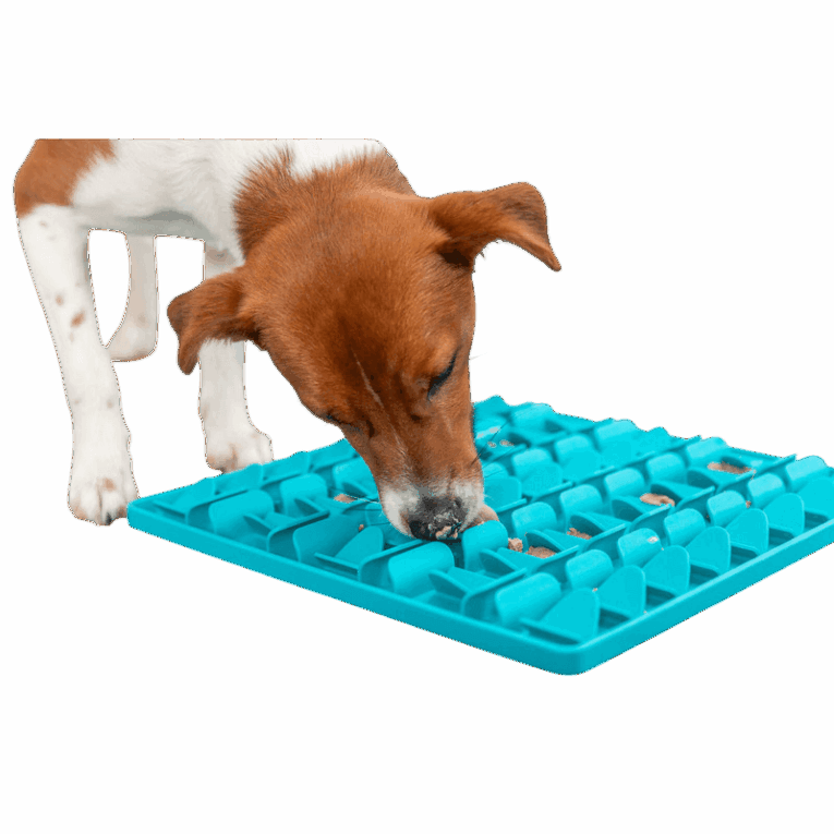 Un perro Jack Russell terrier o similar lamiendo el mantel Lick'n'Snack azul de rejilla que contiene pequeños trozos de comida. La imagen muestra el tapete de perfil bajo.