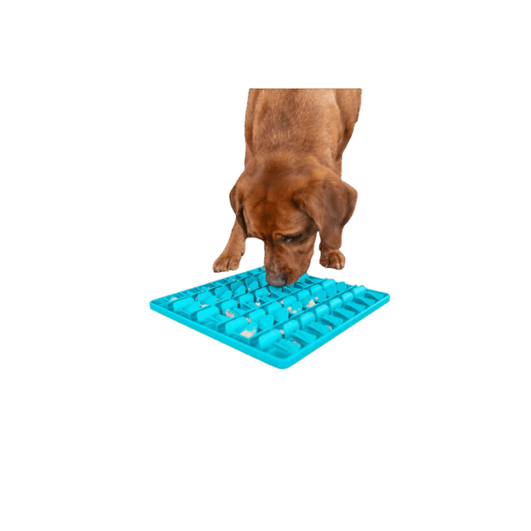 Vista de un perro lamiendo el mantel Trixie Lick'n'Snack azul. Se puede ver el patrón de rejilla lleno de snacks húmedos o paté, y el perro usando su lengua para extraer la comida.