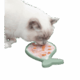 Un gato de raza Ragdoll (o similar) lamiendo el mantel Trixie Lick'n'Snack de silicona con forma de pez. El tapete está cargado con una mezcla de comida húmeda y trozos de vegetales.