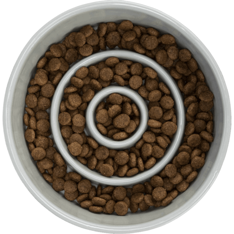 Vista cenital del comedero Slow Feeding de cerámica Trixie de 17cm, color blanco, completamente lleno de pienso seco de color marrón. El laberinto de anillos concéntricos dificulta el acceso al alimento.