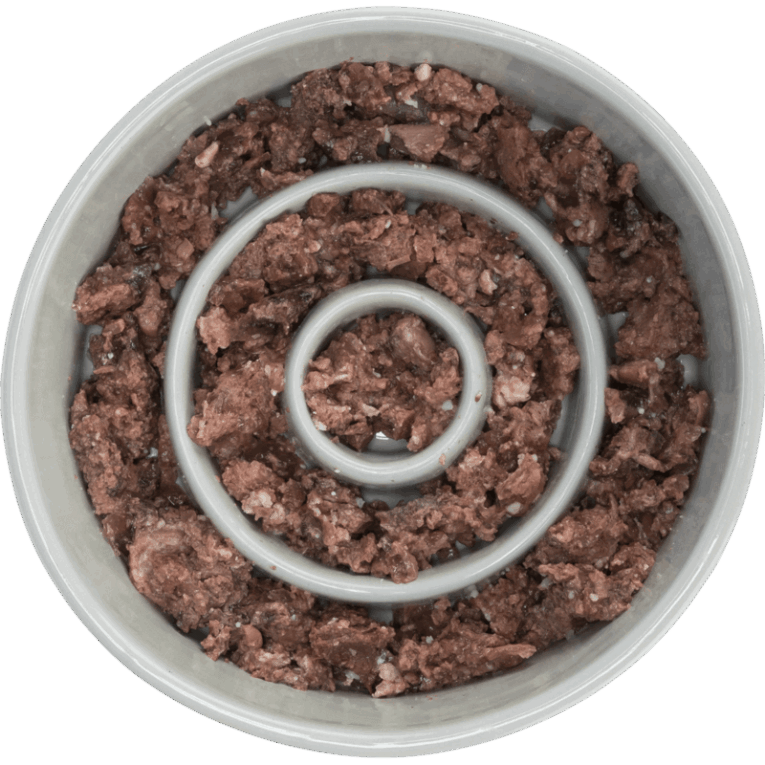 Vista en ángulo cercano del comedero Slow Feeding de cerámica blanca de 17cm con diseño de laberinto de tres anillos concéntricos, ideal para mostrar la altura de los obstáculos y el esmalte brillante.