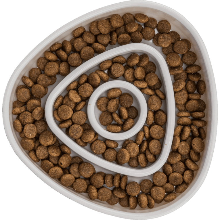 Toma cenital del comedero Trixie Slow Feeding (15cm) con pienso seco. La imagen muestra claramente los tres anillos concéntricos que actúan como obstáculos antivoracidad.