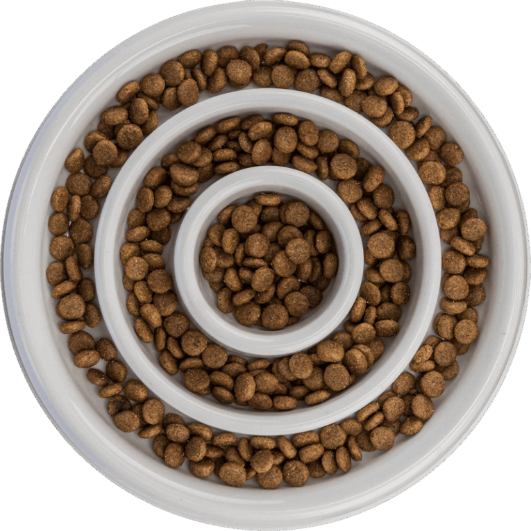 Vista cenital del comedero slow feeding de 23cm totalmente lleno de croquetas de perro. La comida seca está distribuida en los canales entre los anillos concéntricos blancos.