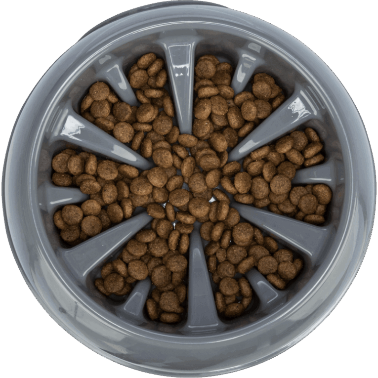 Vista cenital del comedero Slow Feeding Napf de plástico Trixie de 25cm, color gris oscuro, completamente relleno de croquetas secas. La disposición de los rayos crea múltiples compartimentos de alimentación lenta.