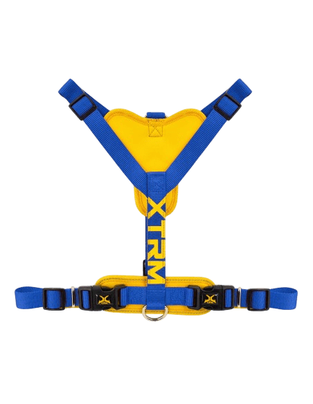 Arnés de alta calidad XTRM Cronos en colores cobalto (azul) y amarillo, diseñado ergonómicamente para el paseo de perros.