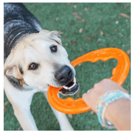 Características: Diseño versátil: Con asas ergonómicas y un cuerpo flotante, el Toss-N-Tug Turbo es perfecto para jugar tanto en tierra como en el agua. Su forma aerodinámica permite lanzamientos largos y precisos, mientras que su diseño flotante lo hace ideal para juegos acuáticos. Durabilidad excepcional: Fabricado con goma BIONIC de alta calidad, este juguete está diseñado para resistir los juegos más intensos. Su construcción robusta garantiza que pueda soportar horas de lanzamientos, tirones y mordiscos. Multifuncional: Además de lanzar y buscar, el Toss-N-Tug Turbo rueda con facilidad, lo que estimula a tu perro a perseguirlo y jugar a alcanzarlo. Su diseño único fomenta el juego activo y saludable. Seguridad: La goma BIONIC es segura para tu mascota, ya que no contiene sustancias tóxicas como BPA, plomo o ftalatos. Flotabilidad: Flota en el agua, lo que lo convierte en el compañero perfecto para los días de playa o piscina.