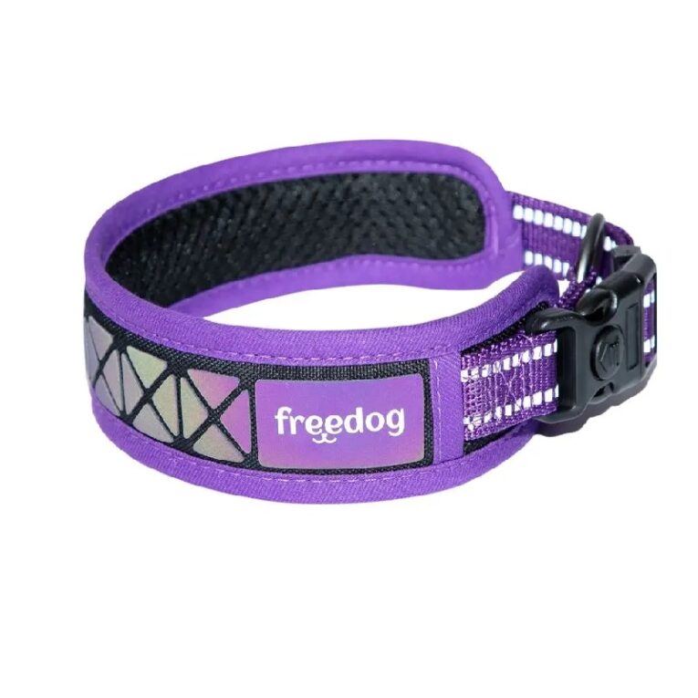 Collar Perro Boreal Morado de Nylon reflectante Freedog. Diseño con acolchado y hebilla de seguridad.