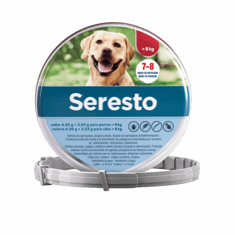 Collar Seresto Perros Grandes (+8kg) gris/blanco en su caja. Protección 8 meses.