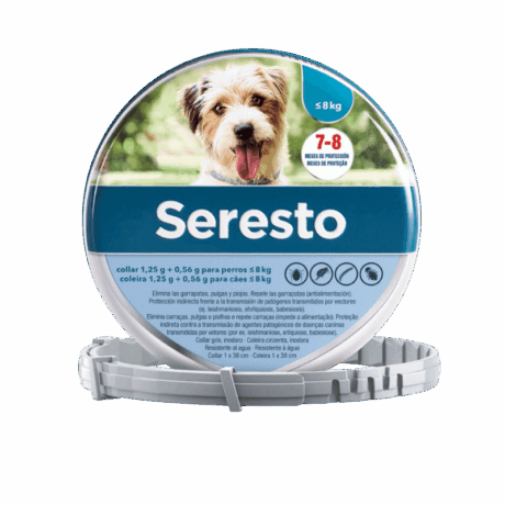 Collar Seresto Perros Pequeños (-8kg) gris/azul en su caja. Protección 8 meses.