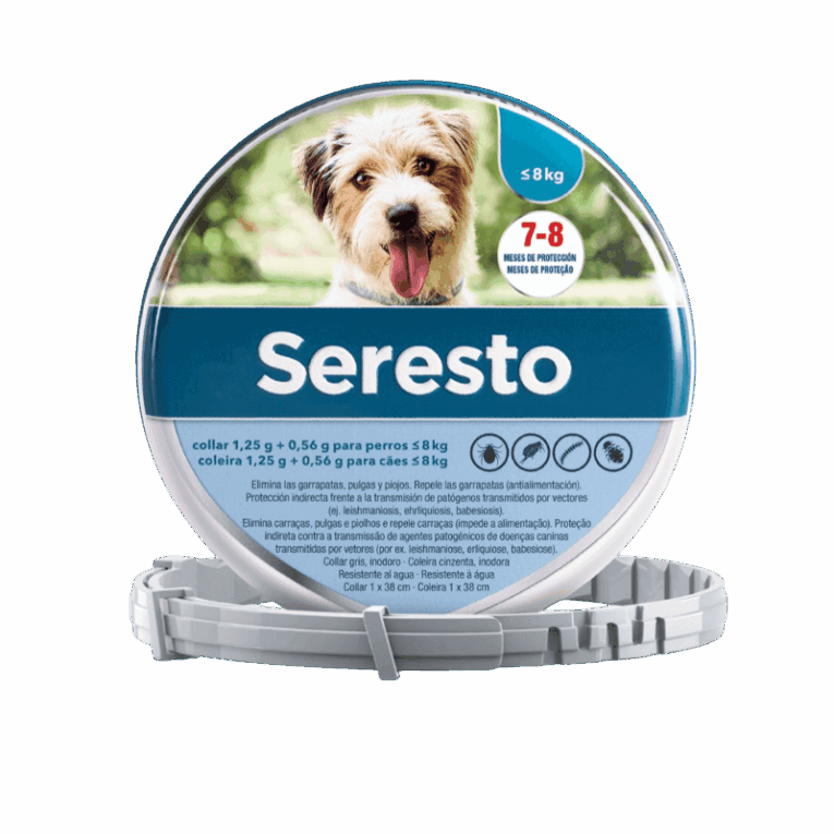 Collar Seresto Perros Pequeños (-8kg) gris/azul en su caja. Protección 8 meses.