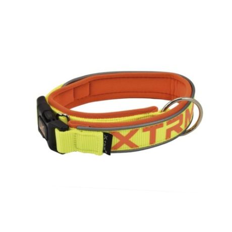 Nayeco X-TRM Neon Flash Collar Amarillo Fluor para perros