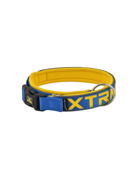 Collar acolchado para perro XTRM Neón en color azul cobalto y amarillo, con hebilla de seguridad y anilla metálica resistente.