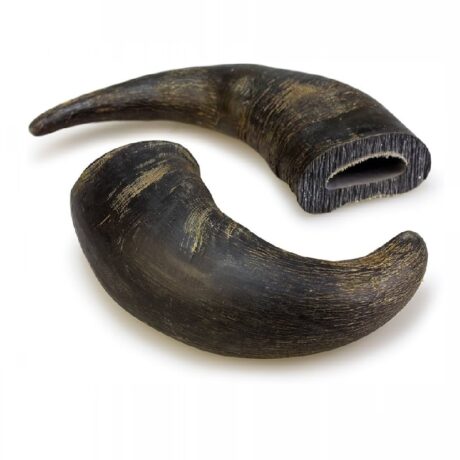 Cuerno Bufalo Masticacion Duradera. Dos mitades de cuerno de búfalo deshidratado, ideal para masticadores fuertes.