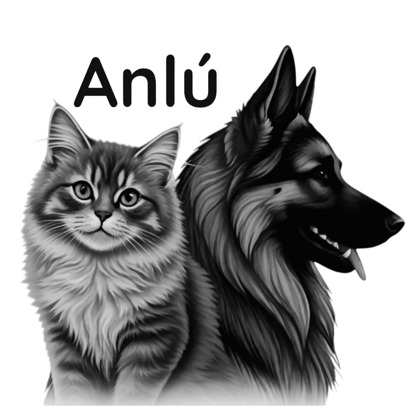anlu-photoroom