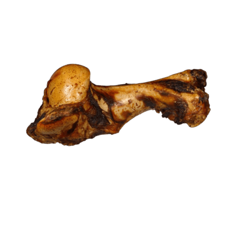 Hueso Gigante de Buey XXL para perros. Snack natural de hueso de vacuno de larga duración. Hueso para perros grandes antiestrés.