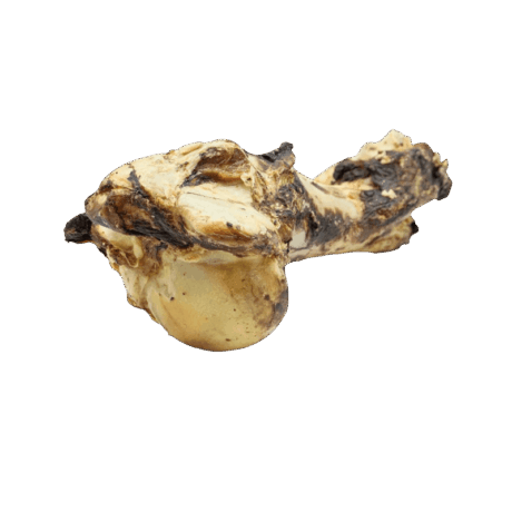 Hueso Gigante de Buey XXL (17x33 CM). Snack masticable natural de vacuno. Hueso de larga duración para perros de mordida fuerte.