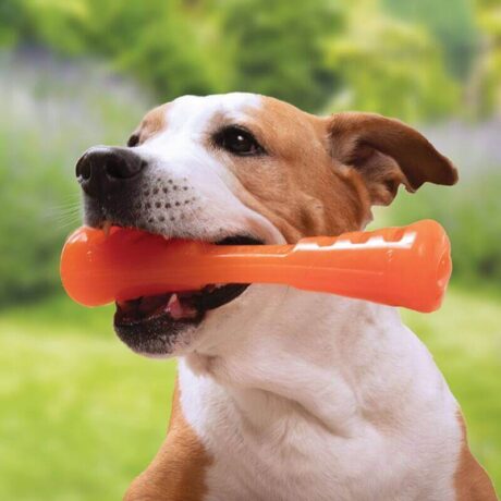 Características: Material Bionic patentado: Fabricado con un material ultra resistente y duradero, diseñado específicamente para soportar las mordidas más fuertes. Diseño único: Con dos compartimentos para rellenar con snacks, mantiene a tu perro ocupado y estimulado durante horas. Versatilidad: Ideal para juegos de búsqueda, tirar de la cuerda y masticar. Flota en el agua, por lo que también es perfecto para jugar en la playa o en la piscina. Seguridad: Libre de BPA, plomo y ftalatos, garantizando la seguridad de tu mascota. Fácil de limpiar: Apto para lavavajillas para una higiene óptima. Durabilidad probada: Diseñado para resistir a los perros más destructivos.