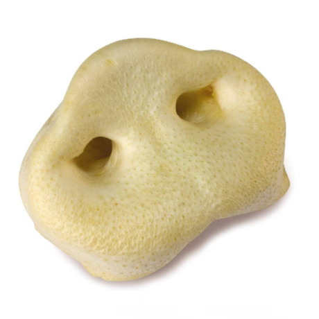 Morros de Cerdo con Miel (1 Unidad) Snack Natural Para Perros