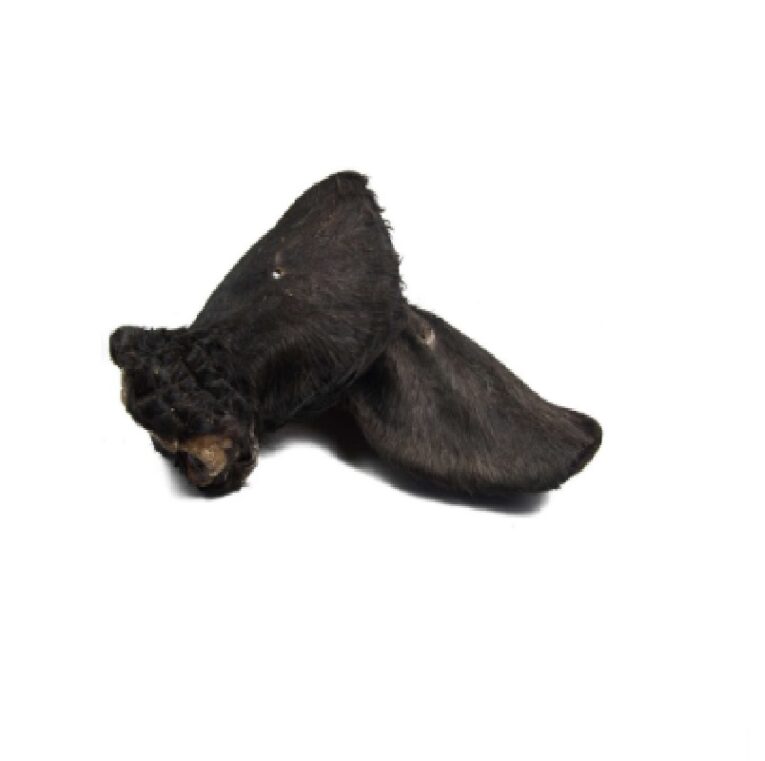 Formato y Características Contenido: 1 oreja de vacuno deshidratada por unidad. Dureza: Media-dura. Tamaño del Perro: Apto para todos los tamaños. Duración: Larga (el tiempo de masticación variará según el tamaño y la intensidad de la mordida del perro). Componentes Analíticos Proteína bruta: 76% Aceites y grasas brutos: 3% Humedad: 5,6% Un Snack Natural y Funcional para la Salud Integral de tu Perro