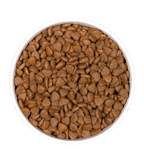 Vista superior en primer plano de las croquetas de pienso OwNat Prime Grain Free para gatitos.