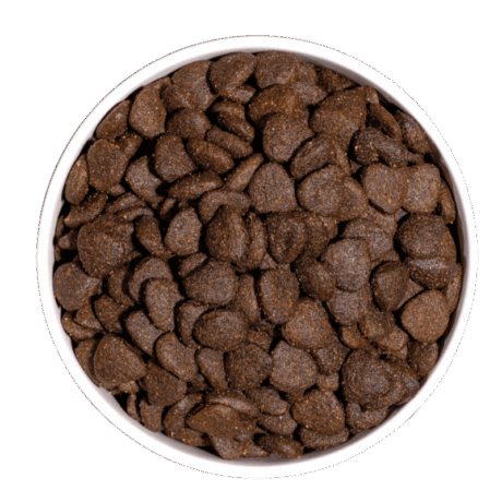 Croquetas de pienso Ownat Just Grain Free Adulto Cordero, con un 68% de proteína y sabor a cordero fresco, adecuadas para perros adultos.