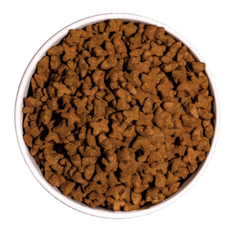 Croquetas de pienso Ownat Just Grain Free Sterilized de pollo, con forma de hueso/estrella, servidas en un cuenco blanco, para gatos esterilizados.