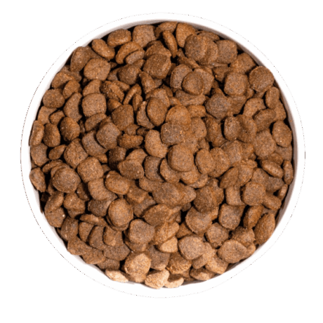 Reverso de Ownat Adulto Pato para perros: 67% de proteína, 20% pato fresco, 0% granos.