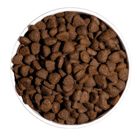 Croquetas de pienso Ownat Just Grain Free Adulto Pollo, con un 65% de proteína y sabor a pollo fresco, en un cuenco blanco.