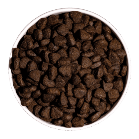 Croquetas de pienso Ownat Just Grain Free Adulto Salmón y Marisco, con un 71% de proteína y sabor a pescado, en un cuenco blanco.