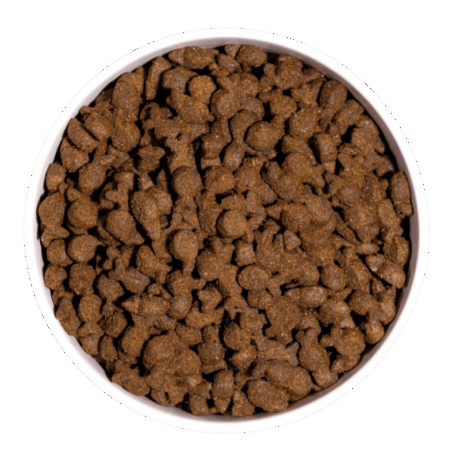 Croquetas de pienso Ownat Just Grain Free Trucha para perros, con alto contenido de pescado fresco, servidas en un cuenco blanco.