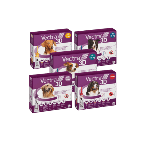 Composición Avanzada para una Máxima Eficacia La fórmula de Vectra 3D se basa en principios activos de última generación que actúan sinérgicamente para ofrecer la mejor protección: Dinotefuran (54 mg): Un potente insecticida que actúa rápidamente contra pulgas. Piriproxifeno (4,84 mg): Un regulador del crecimiento de insectos que rompe el ciclo de vida de las pulgas, impidiendo su desarrollo en el entorno. Permetrina (397 mg): Un repelente e insecticida de amplio espectro, eficaz contra garrapatas, mosquitos, flebotomos y moscas. Excipientes: N-octil-2-pirrilidona, N-metilpirrilidona. Modo de Empleo: Fácil y Seguro Asegurar la protección de tu perro es muy sencillo con el diseño intuitivo de Vectra 3D: Prepara la pipeta: Coloca el aplicador en posición vertical con tus dedos debajo del disco más grande. Presiona hacia abajo el disco pequeño hasta que ambos discos se unan. Prepara a tu perro: Tu perro debe estar de pie y cómodo. Aparta su pelo para que la piel sea visible. Aplica el producto: Con la punta del aplicador sobre la piel, distribuye todo el contenido a lo largo de la espalda de tu perro, desde el cuello hasta el inicio de la cola. Consulta la tabla de dosificación para elegir el aplicador correcto según el peso de tu perro: Peso del Perro (kg) Color del Tapón Volumen (ml) Aplicador a Utilizar 1,5 – 4 kg Amarillo 0,8 Vectra 3D para perros 1.5–4 kg >4 – 10 kg Verde azulado 1,6 Vectra 3D para perros >4–10 kg >10 – 25 kg Azul 3,6 Vectra 3D para perros >10–25 kg >25 – 40 kg Morado 4,7 Vectra 3D para perros >25–40 kg >40 kg Rojo 8,0 Vectra 3D para perros >40 kg Información Importante y Seguridad No usar en gatos: ¡Es crucial! Este producto es tóxico para gatos. Asegúrate de que los gatos no entren en contacto con perros recién tratados. No usar en casos de hipersensibilidad a las sustancias activas o a algún excipiente. Gestación y Lactancia: La seguridad del medicamento veterinario en perras gestantes o lactantes, así como en animales destinados a la reproducción, no ha sido completamente demostrada. Consulta siempre a tu veterinario. Devoluciones: De acuerdo con la normativa vigente, Piensos Anlú no puede aceptar la devolución de medicamentos veterinarios una vez dispensados y entregados, salvo en casos de error en el envío, daños durante el transporte, caducidad, mal estado, o alertas sanitarias. Por favor, revisa tu pedido al recibirlo.