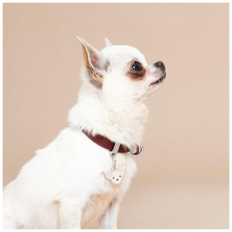 ¿Por qué es importante que tu perro lleve una placa identificativa? Seguridad: La placa identificativa es la forma más rápida y efectiva de que alguien pueda contactarte si encuentra a tu perro perdido. Tranquilidad: Saber que tu perro lleva una identificación te brinda tranquilidad y reduce la angustia en caso de extravío. Información vital: Además de tus datos de contacto, puedes incluir información relevante como el nombre de tu perro o si requiere cuidados especiales. Cumplimiento legal: En algunas localidades, es obligatorio que los perros lleven una placa identificativa. Detalles del producto Diseño: Chihuahua Crema Personalización: Grabado en la parte trasera Incluye: Anillo para enganchar al collar