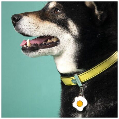 Personalización y practicidad La Placa Food Egg se puede personalizar en la parte trasera con un grabado claro y duradero. Puedes incluir el nombre de tu mascota, tu número de teléfono o cualquier otro dato relevante. Además, está equipada con un práctico anillo para engancharla fácilmente al collar. Colección Food: Un homenaje a la gastronomía La Placa Food Egg forma parte de la colección Food, una serie de placas inspiradas en los platos más emblemáticos de la gastronomía mundial. ¡Colecciónalas todas y dale a tu mascota un toque de sabor y estilo! Detalles del producto Diseño: Huevo frito Personalización: Grabado en la parte trasera Incluye: Anillo para enganchar al collar ¡Expresa tu amor por la comida y por tu mascota con la Placa Food Egg!